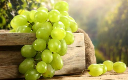 Organic Fresh Green Grapes, Shelf Life : 7-10days