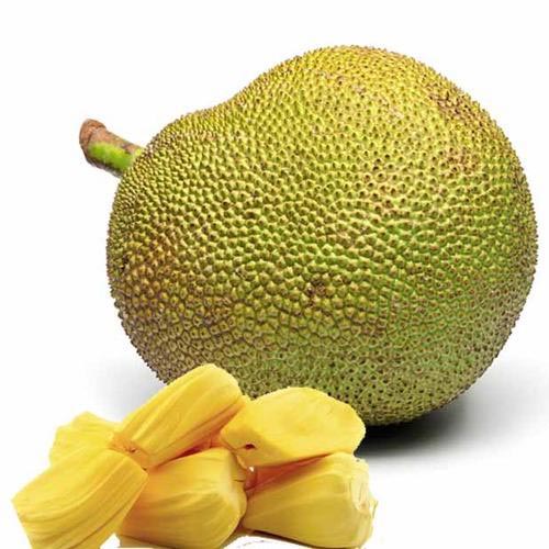 Fresh Jackfruit, Packaging Type : Net Bag, Plastic Bag