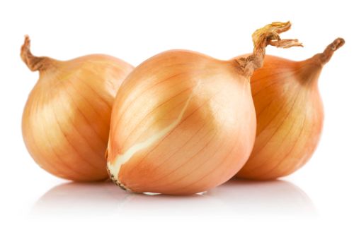 Organic Fresh Yellow Onion, For Cooking, Enhance The Flavour, Human Consumption, Packaging Type : Net Bags