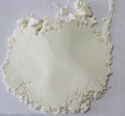 White Kidney Beans Extract