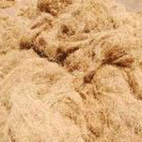 Coir Fiber