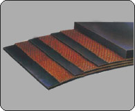 Textile Ply Belt