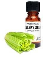 Celery Oil