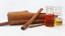 Cinnamon Bark Oil