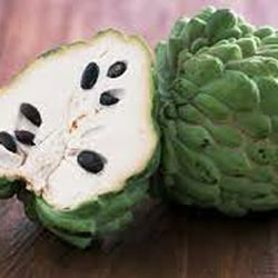 Custard Apple Oil