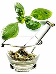 Organic Herbal Extracts, For Food Additives, Medicinal, Style : Dried, Fresh