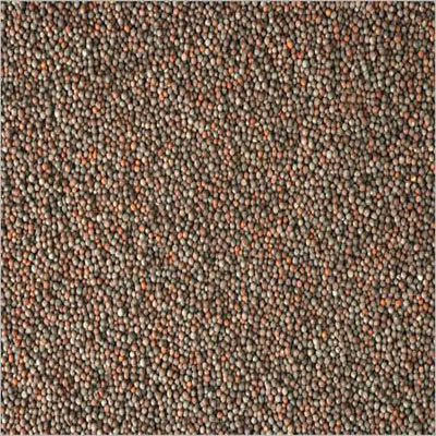 Brown Mustard Seeds - 01