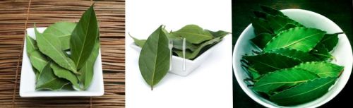 Bay Leaves