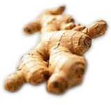 Zingiber Officinalis (Ginger) Ginger Oil