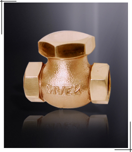 Horizontal Lift Check Valve Screwed