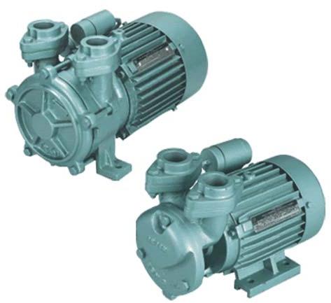 Regenerative Monoblock Pump