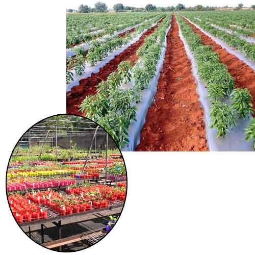 Nursery Mulching Sheets