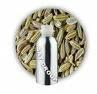 Fennel Oil