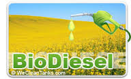 Biodiesel Fuel