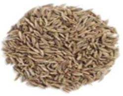 Cumin seeds, Packaging Size : 50kg