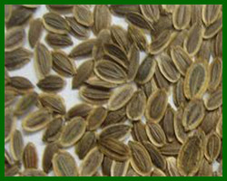 Dill Seed