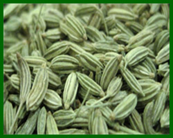 Fennel Seed