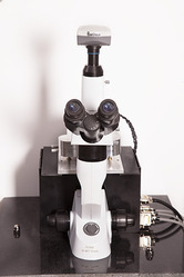 Atomic Force Microscope