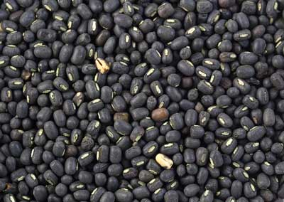 Whole Urad Dal