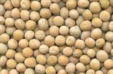 Yellow Peas, Certification : Fssai