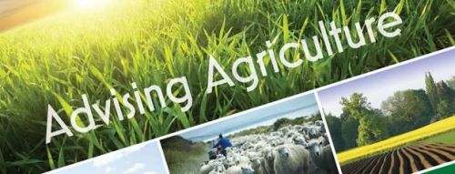 Agricultural Consulting