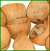 Coconut shell