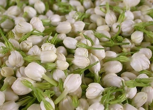 Fresh Mullai Flowers, Style : Whole