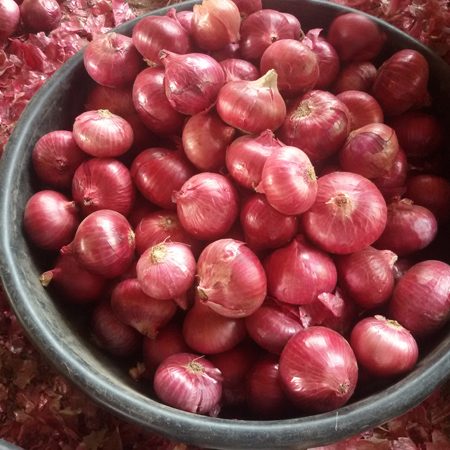 Organic Fresh Small Red Onion, Packaging Type : 500gms, 1Kg, 5Kg