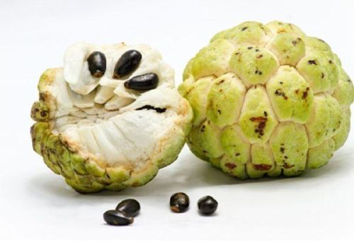 Organic Fresh Custard Apple