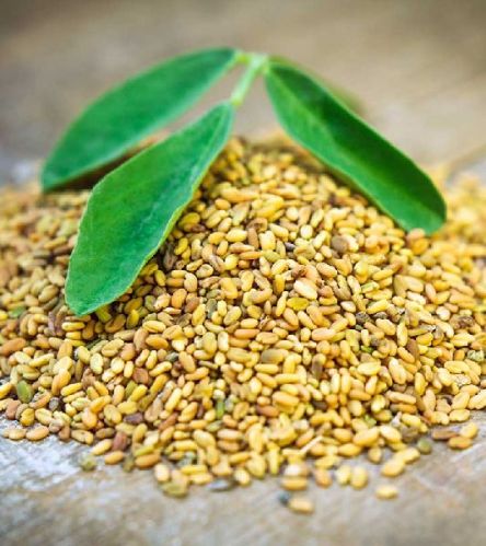 Fenugreek Seeds