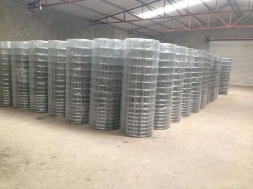 Fixed Knot Woven Wire Mesh