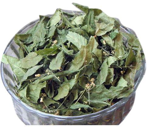 Dried Neem Leaves, For Medicine, Cosmetic Etc.
