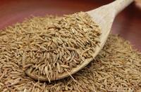 Cheap Quality Cumin Seeds, Ajwain Seeds, Mustard Seeds, Star Anise Seeds, Coriander Seeds