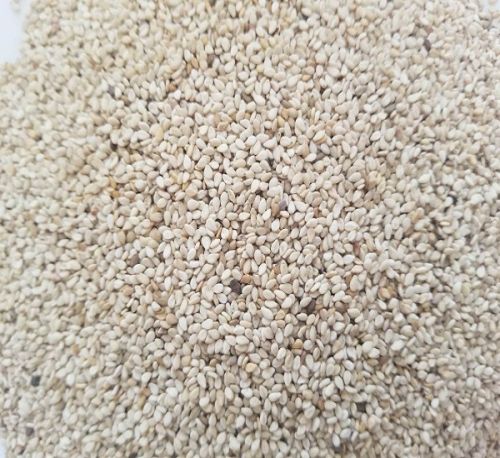 White sesame seed