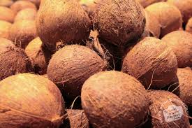 Common Semi Husked Coconuts, Color : Brown, Green