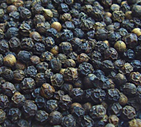 Organic Black Pepper Seeds