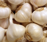 Organic Fresh Garlic