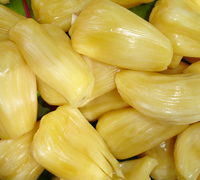 Organic Fresh Jackfruit, For High In Protein