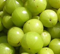 Fresh Gooseberry