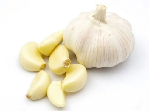 Organic Fresh Garlic