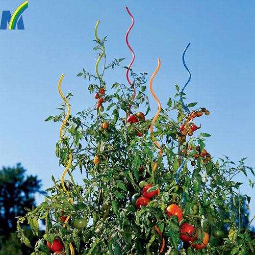 Robust Tomato Growing Spiral Stake Plant Growing Support Wire