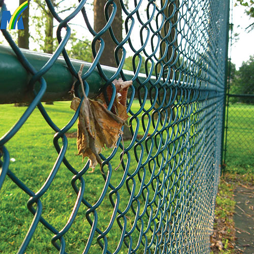 Galvanized wire PVC Coated Chain Link Fence