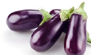 Organic Fresh Brinjal