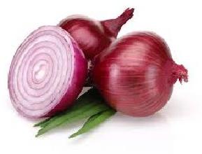 Fresh Red Onion