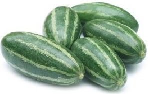 Organic Fresh Pointed Gourd, For Soup, Stew, Curry, Sweet Etc., Packaging Size : 10 Kg., 20Kg.