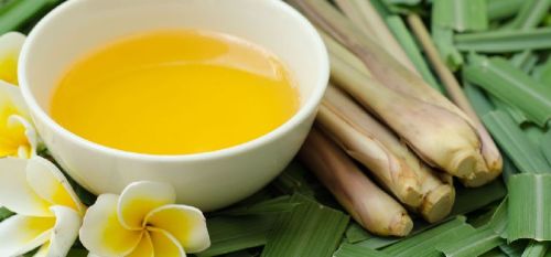 Citronella Oil, Feature : Good Quality