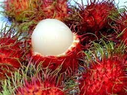 Organic Rambutan, For Cooking, Food Medicine, Cosmetics, Human Consumption, Color : Red