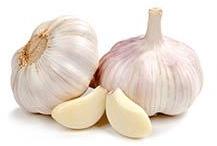 Organic Fresh Garlic