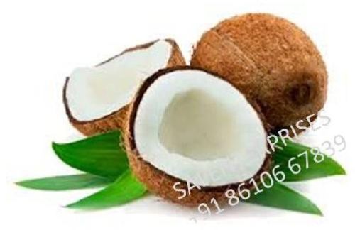 SAI ENTERPRISES Common Fresh Coconut, Grade : 1st Grade