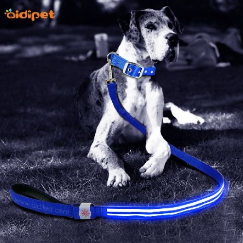An-Ti Lost Flashing Safety Illuminated LED Dog Lead